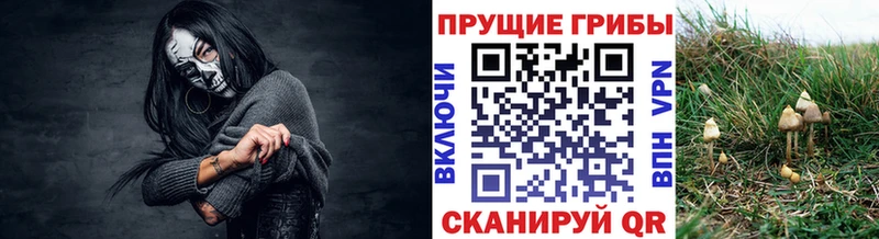 купить наркоту  ОМГ ОМГ как зайти  Галлюциногенные грибы Psilocybine cubensis  Усть-Кут 